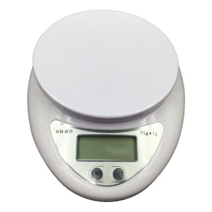 Portable LED Electronic Scale