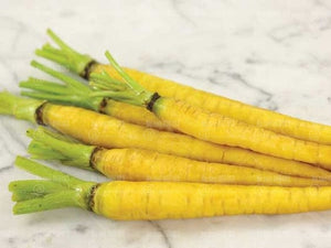 300 pcs Organic Non-GMO  Edible Rainbow Carrot  Plants