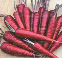 Load image into Gallery viewer, 300 pcs Organic Non-GMO  Edible Rainbow Carrot  Plants