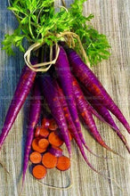 Load image into Gallery viewer, 300 pcs Organic Non-GMO  Edible Rainbow Carrot  Plants