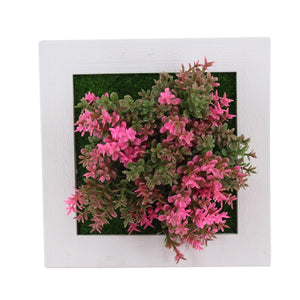 Meldel 1pcs Creative 3D Metope Imitation Plants/Photo Frame Wall Decoration