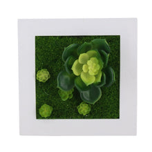 Load image into Gallery viewer, Meldel 1pcs Creative 3D Metope Imitation Plants/Photo Frame Wall Decoration