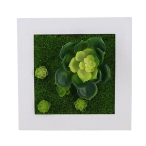 Meldel 1pcs Creative 3D Metope Imitation Plants/Photo Frame Wall Decoration