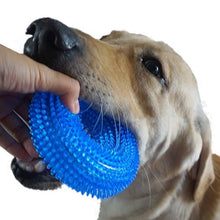 Load image into Gallery viewer, Squeak Chew Pet Dogs Training Chew Ring - in S / XL sizes