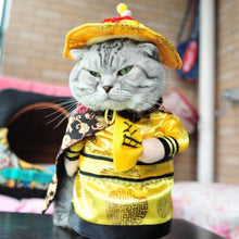 Load image into Gallery viewer, Small Pets Funny Costumes for the CAT WALK