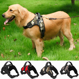 Pet Heavy Duty Nylon Harness Collar