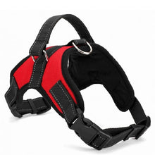 Load image into Gallery viewer, Pet Heavy Duty Nylon Harness Collar