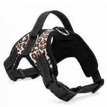 Load image into Gallery viewer, Pet Heavy Duty Nylon Harness Collar